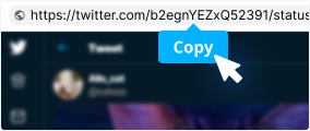 Step 1: Copy the Twitter Video Link