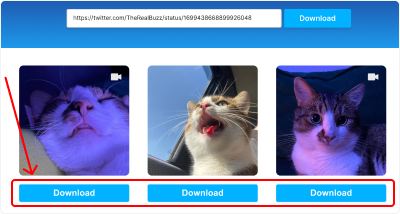 Choose your desired video format and quality settings, then click "Download". Your file will be processed and ready within seconds.