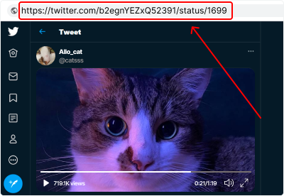 Find the Twitter video you wish to download and copy its complete URL address.